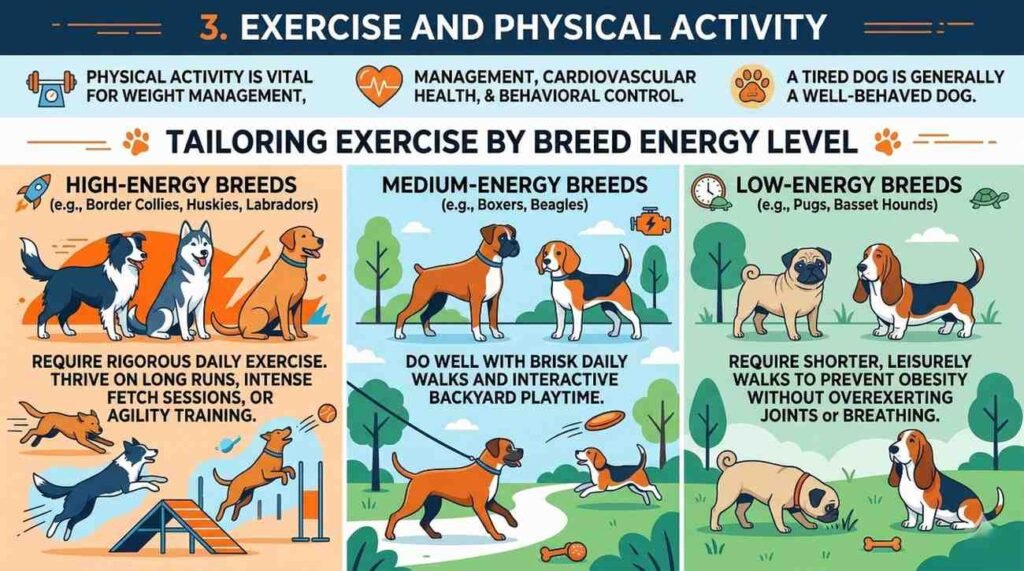 3. Exercise and Physical Activity