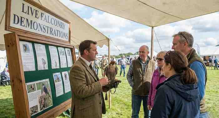 The Falcon Match: How to Choose the Perfect Bird of Prey for Falconry The Apprentice’s Match: Where You Must Start