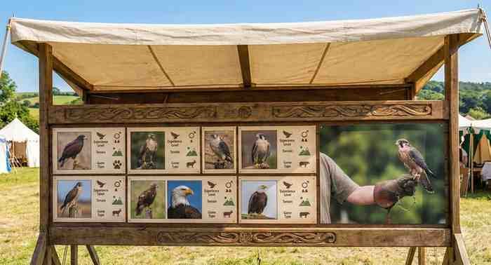 The Falcon Match: How to Choose the Perfect Bird of Prey for Falconry The Falcon Match: How to Choose the Perfect Bird of Prey for Falconry