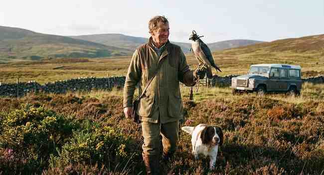 The Falcon Match: How to Choose the Perfect Bird of Prey for Falconry Matching the Game: What Lives in Your Backyard?