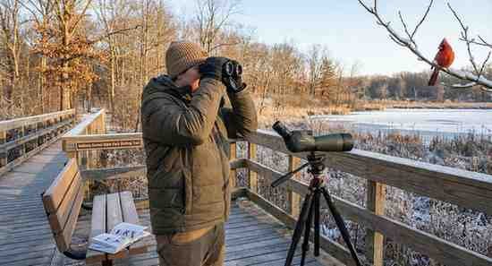 gemini generated image ykwl9vykwl9vykw