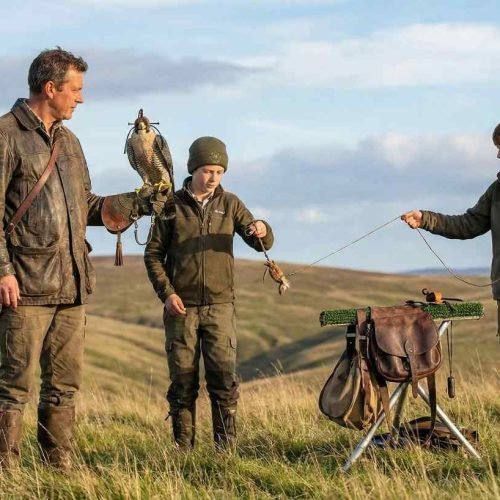 Falcon Training And Technique